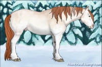 Horse Color:White Spotted Sable Champagne Ice Pearl Onyx