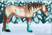 Horse Color:Brown Pearl Onyx 