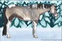 Horse Color:Blue Onyx Tobiano