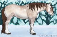Horse Color:Brown Ice Pearl Onyx 