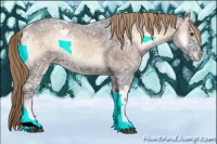 Horse Color:Liver Red Onyx Ice