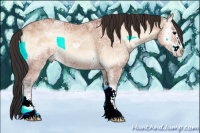 Horse Color:Bay Ice Onyx Sabino 