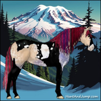 Horse Color:Painted Bay Ice Dun Splash Tobiano 