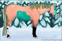 Horse Color:Painted Buckskin Dun Splash