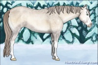 Horse Color:Chocolate Palomino Ice Pearl Onyx Splash 