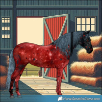 Horse Color:ERROR: UNKNOWN ANOMALY