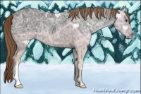 Horse Color:Liver Chestnut Ice 