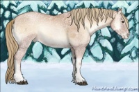 Horse Color:Red Onyx Ice Pearl 