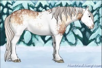 Horse Color:White Spotted Silver Bay Ice Onyx Splash 