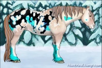 Horse Color:Painted Gold Champagne Ice Onyx Appaloosa 