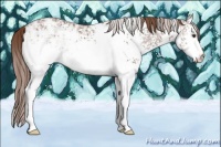 Horse Color:White Spotted Liver Chestnut Ice Splash 