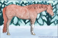 Horse Color:Gold Champagne Ice 