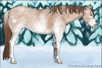 Horse Color:White Spotted Bay Ice Pearl 