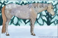 Horse Color:Chestnut Ice 