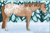 Horse Color:Chestnut Ice 