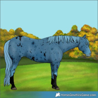 Horse Color:ERROR: UNKNOWN ANOMALY