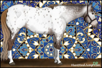 Horse Color:Gray Liver Chestnut Tobiano Near Leopard 