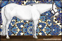 Horse Color:Gray Buckskin Roan Dun 