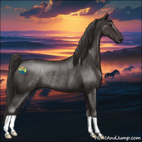 AVR Show Pony 18541173