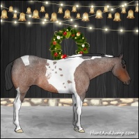 Horse Color:Bay Roan Tobiano 