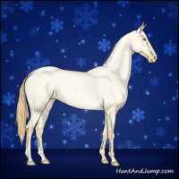 Horse Color:Buckskin Roan Pearl Dun  and Buckskin Roan Pearl Dun