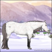 Horse Color:Platinum Buckskin Dun Near Leopard 