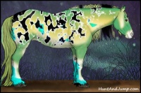 Horse Color:Watercolor White Spotted Chocolate Palomino Onyx Appaloosa