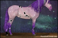 Horse Color:Watercolor White Spotted Buckskin Dun 