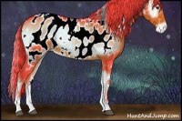 Horse Color:Watercolor White Spotted Liver Red Onyx Sabino Appaloosa