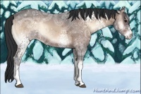 Horse Color:White Spotted Brown Ice Onyx 