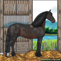Horse Color:Brown 