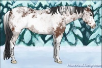 Horse Color:White Spotted Brown Ice Frame 