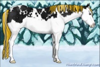 Horse Color:Painted White Spotted Black Ice Splash 