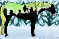 Horse Color:Painted Palomino Dun Splash