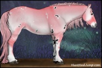 Horse Color:Watercolor White Spotted Chocolate Palomino Onyx Rabicano