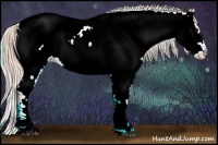 Horse Color:Watercolor White Spotted Silver Bay Onyx Sabino Appaloosa