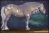 Horse Color:Watercolor White Spotted Silver Bay Ice Onyx Sabino 