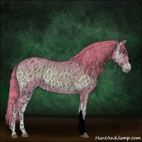 Horse Color:Watercolor Red Onyx Ice 