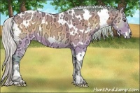 Horse Color:Watercolor White Spotted Silver Buckskin Ice Onyx 