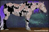 Horse Color:Watercolor White Spotted Buckskin Ice Onyx 