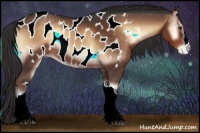 Horse Color:Liver Red Onyx Appaloosa 