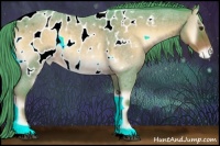 Horse Color:Watercolor Liver Red Onyx Roan Appaloosa