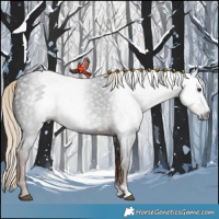 Horse Color:Gray Liver Chestnut 