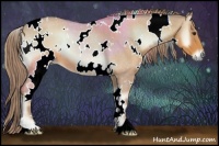 Horse Color:Watercolor White Spotted Red Onyx Roan 