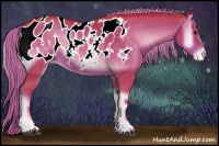 Horse Color:Watercolor Liver Red Onyx Appaloosa 