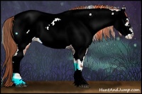 Horse Color:Liver Red Onyx Roan Appaloosa Rabicano 