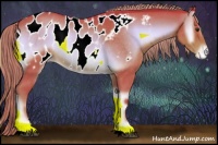 Horse Color:Watercolor Liver Red Onyx Roan Appaloosa 