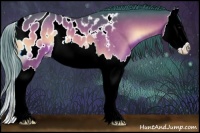 Horse Color:Watercolor Brown Onyx Splash Appaloosa 