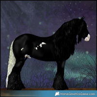 Horse Color:Watercolor Chocolate Palomino Onyx Splash Appaloosa