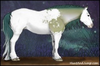 Horse Color:Watercolor Bay Onyx Splash Appaloosa 